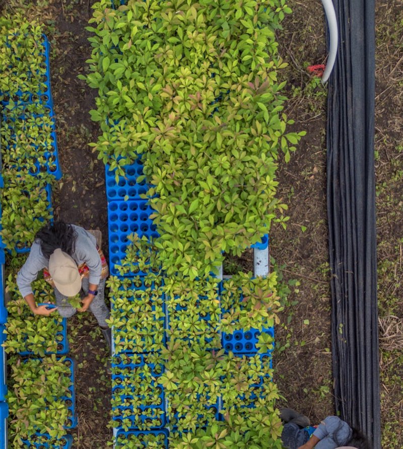 Imagen de la sección ambiental