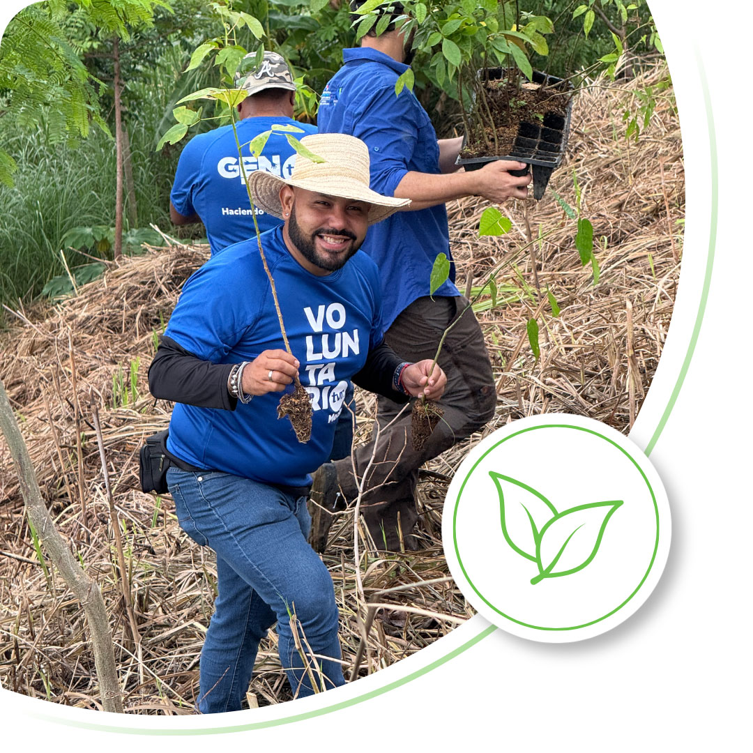 Imagen de la sección ambiental