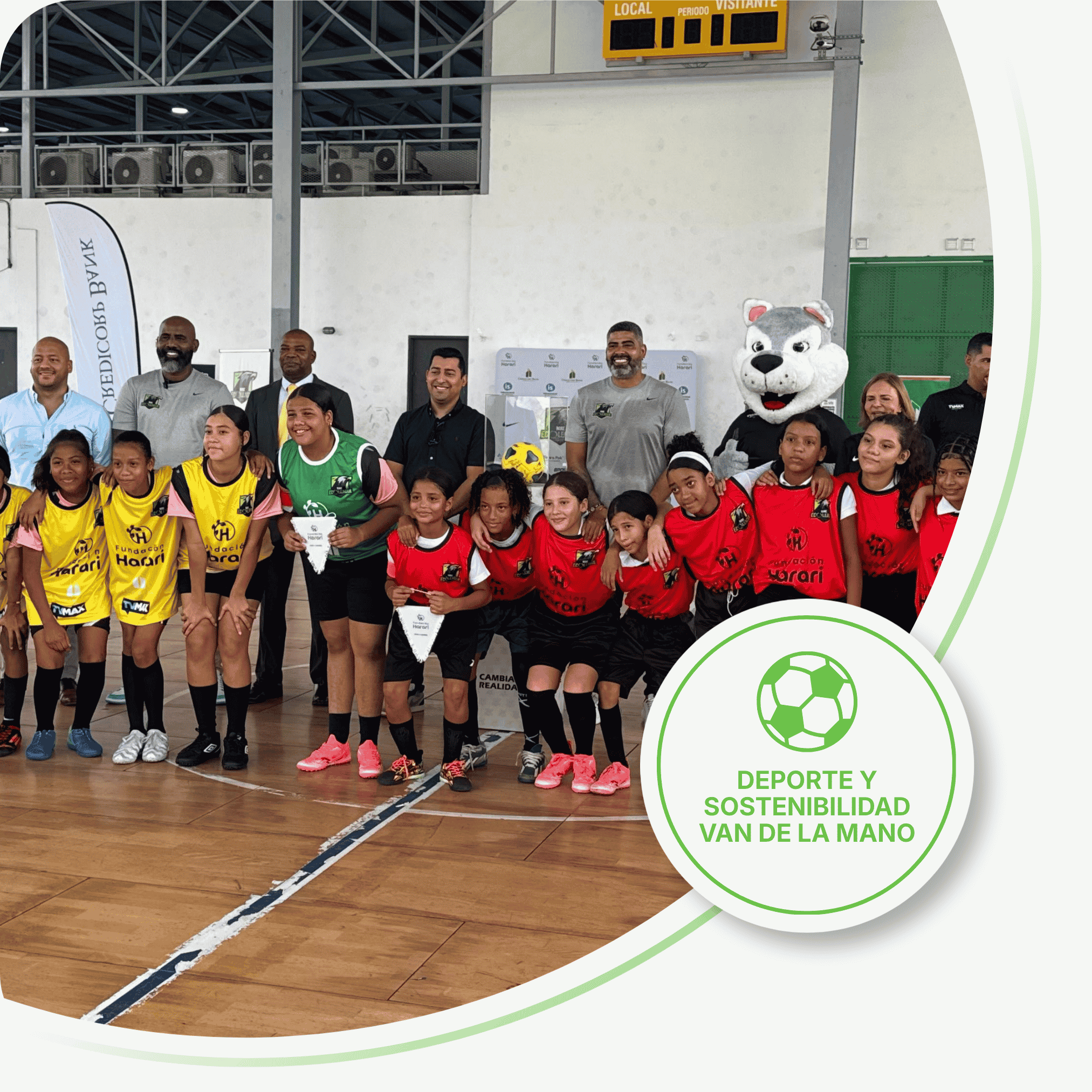 Imagen de la sección ambiental